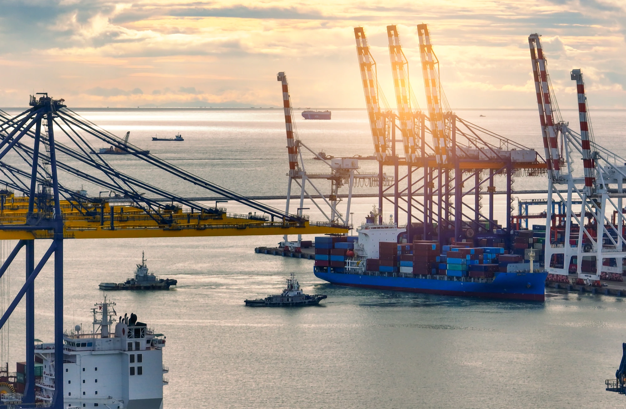 OSE Euro provides sea freight logistic transport and in house customs clearance.