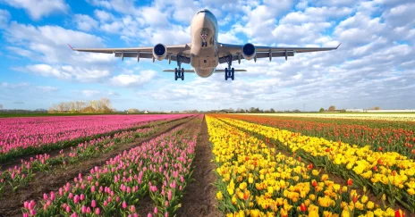 The benefits of professional air freight services