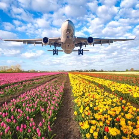 The benefits of professional air freight services